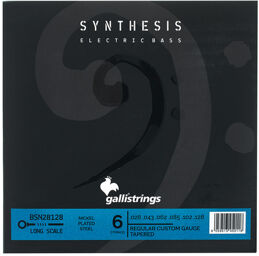 BSN28128 Synthesis Bass 6 Str.