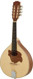 Pro Natura Mandolin