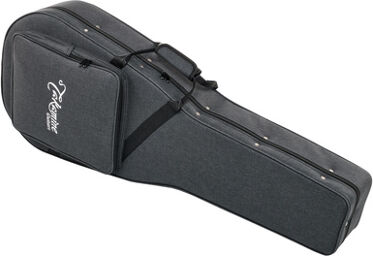TASH500A Softcase NEX