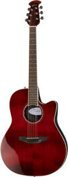 Celebrity Tradition CS-24-RR-G Ruby Red