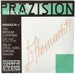 152 Mandolin String D Medium