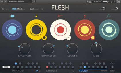 Flesh