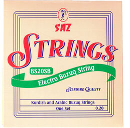 BE20SB Electro Buzuq Std. Str.