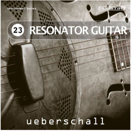 Resonator Guitar