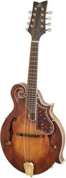 RMFE100AVO Antique Violin Oiled