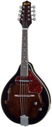 M510E-DVS Dark Violin Sunburst