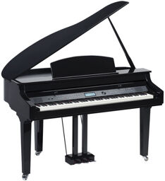 DP-275 GP BP Noir poli