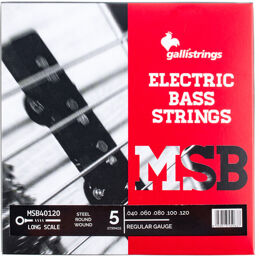 MSB40120 Electric Bass 5-Str.