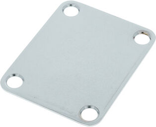 Roadworn Guitar Neck Plate