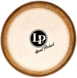 264D Bongo Head Professional