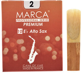 Premium Alto Saxophone 2.0