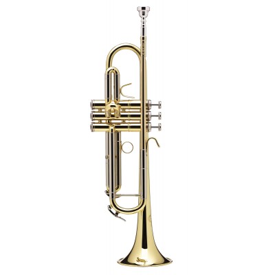 Prodige Sib Vernie (Branche Inversée) - BS210LR-1-0