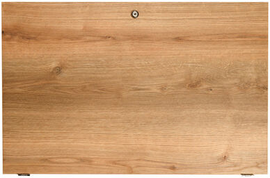 Back Door 18U Studio OAK Chêne