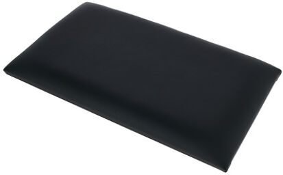 Seat Cushion 13820