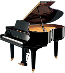 DGC2 EN ST Black Polished Noir poli