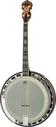 IT-250-F Irish Tenor Banjo w/C Vintage Brown