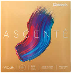 A310-1/16M Ascente Violin