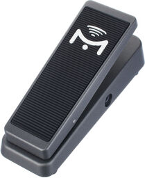 SP1-ND-GY Gris métallique