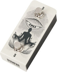 Anima Dual Footswitch