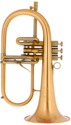F2 GM Selected 055 170 BL