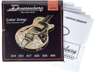 DS010 String Set