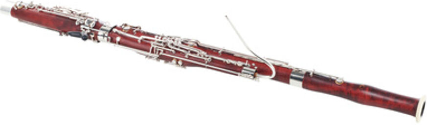WS5031-2N-0 Basson