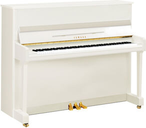 P 116 M PWH Upright Piano