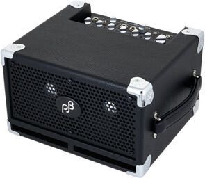 BG-120 Bass Cub Pro Combo