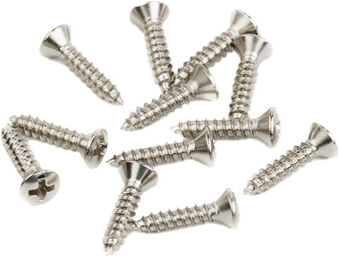Pickguard-Vintage Mount Screws