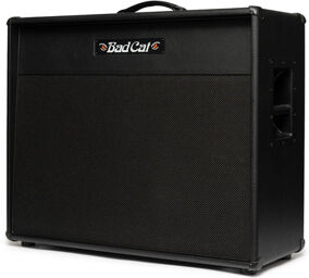Era 2x12 Cabinet