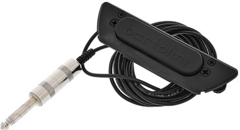 Acoustic Soundhole Pickup