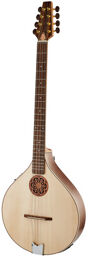 Artist Irish Bouzouki WLN-PU