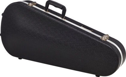 ABS Mandolin Case