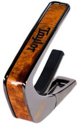 Taylor by Thalia Koa