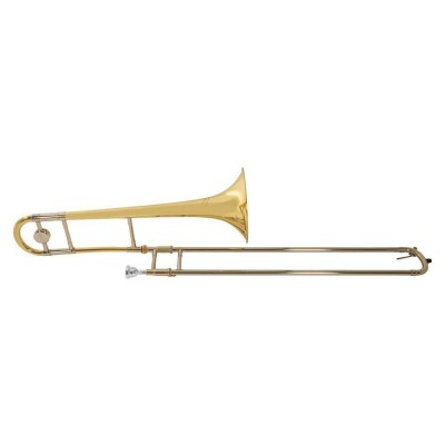 TB502 - Ténor Simple Verni