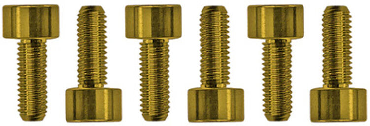 Saddle Mounting Screws Gold