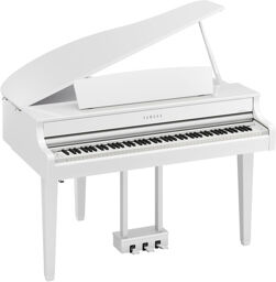 CLP-865GPWH White polished
