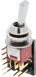 DPDT TW Switch Dual