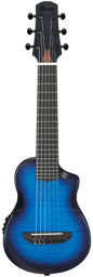 AUP10FMNE-TBO Transparent Blue Sunburst