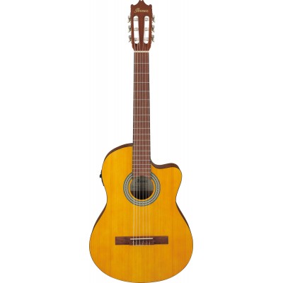 GA3ECE-OAM Amber
