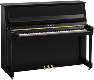 B20 PE Polished Black