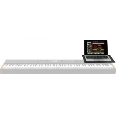 Numa X Piano Computer Plate
