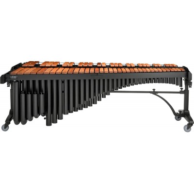 MARIMBA 5 OCTAVES CONCERT M650DB