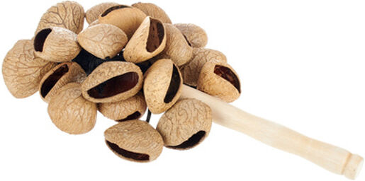 Terre Stickshaker Pangi Seeds