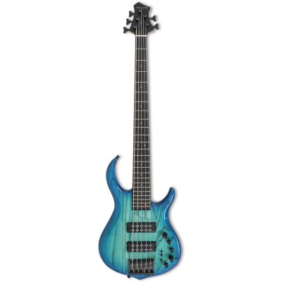 M5 Swamp Ash-5 Tbl En