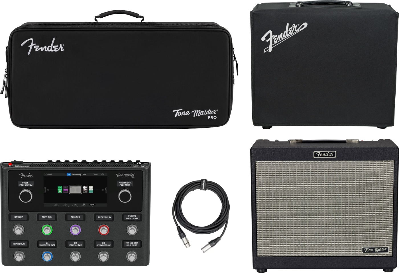 Pack Deluxe Tone Master Pro + FR-10
