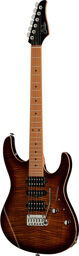 Modern Plus MN HSH BNGB Bengal Burst