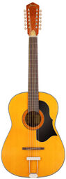 Vintage Hootenanny 12 TS Vintage Tinted Natural Matte