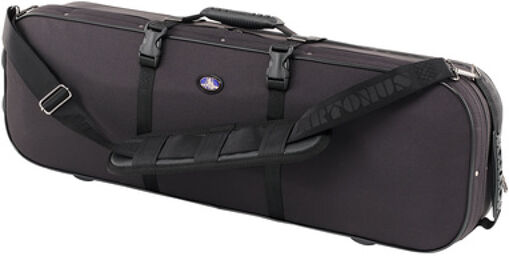 Geeston Violin CG