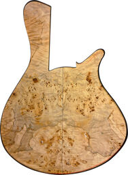 Merak 5 Poplar Burl Premium naturel